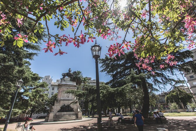 Montevideo Private Full Day Tour from Buenos Aires - Plaza Virgilio and the eastern neighborhoods