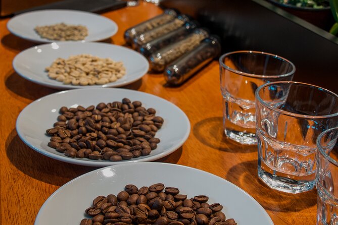 N1 Coffee Tasting Experience in Buenos Aires - Learning coffee from seed to cup