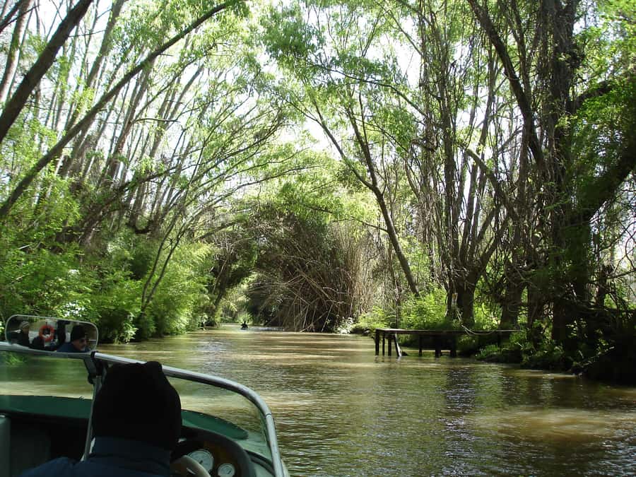 Navigation in Delta of Tigre - Exclusive semi private tour - Boarding a speedboat built for smaller channels