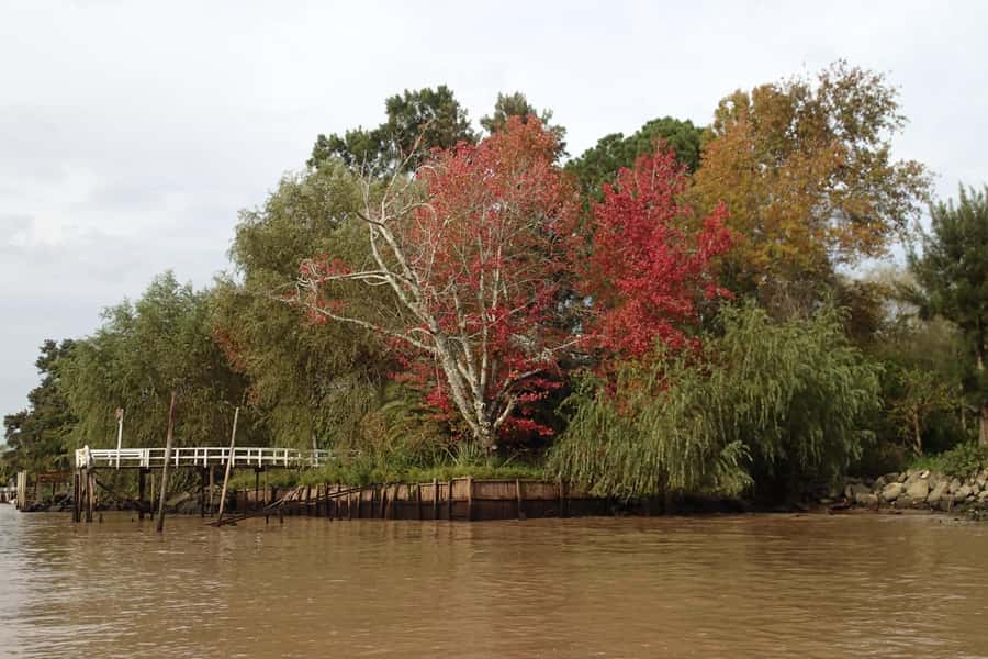 Navigation in Delta of Tigre - Exclusive semi private tour - Enrique and Martin as hosts