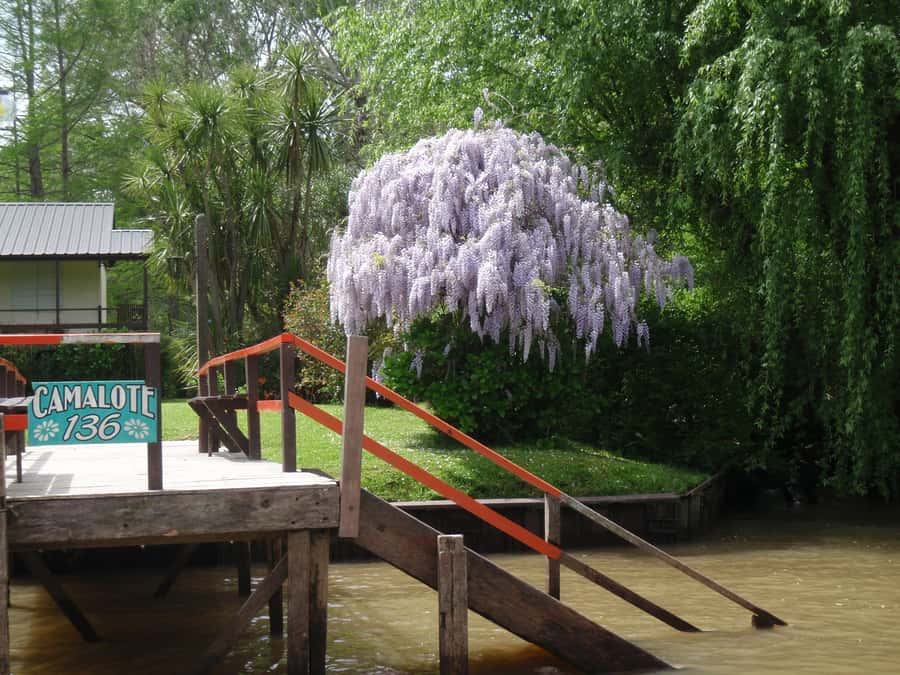 Navigation in Delta of Tigre - Exclusive semi private tour - Is $135 a fair price?