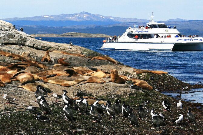 Navigation to Beagle Channel and Sea Lions Island with Transfers - Why a Beagle Channel cruise belongs on your Ushuaia plan