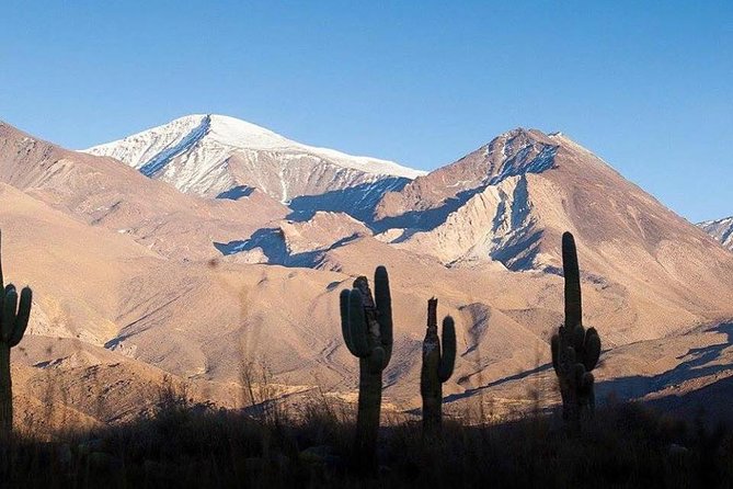 One Day Tour of Cachi and Calchaquí Valleys from Salta - Why this route is worth a long day