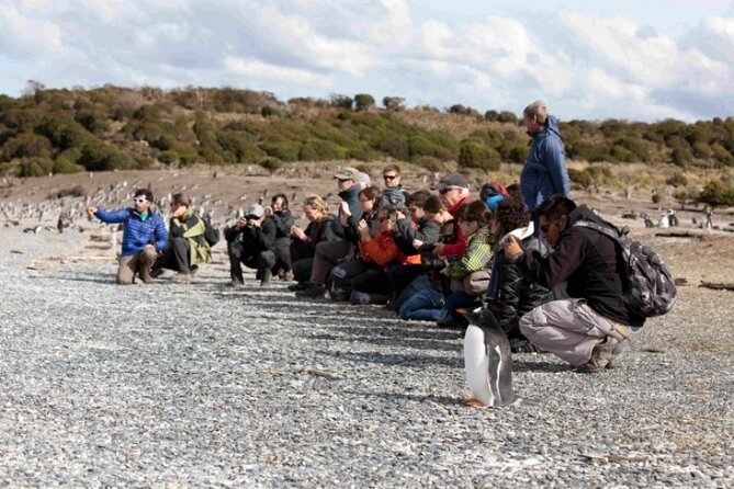 Penguin walk in Ushuaia + navigation option - Starting at Ushuaia’s tourist pier