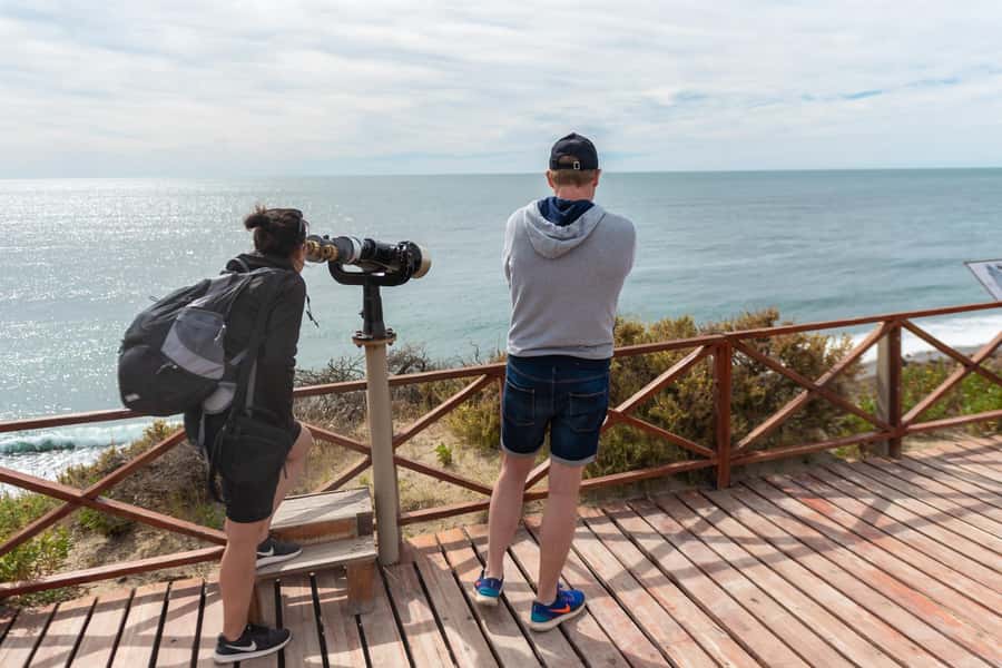 Peninsula Valdes Full Day Tour - Puerto Pirámides and the optional whale boat