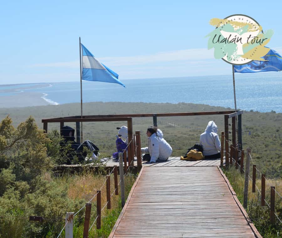Peninsula Valdes: Shore excursion for cruise passengers - Key points to know before you book