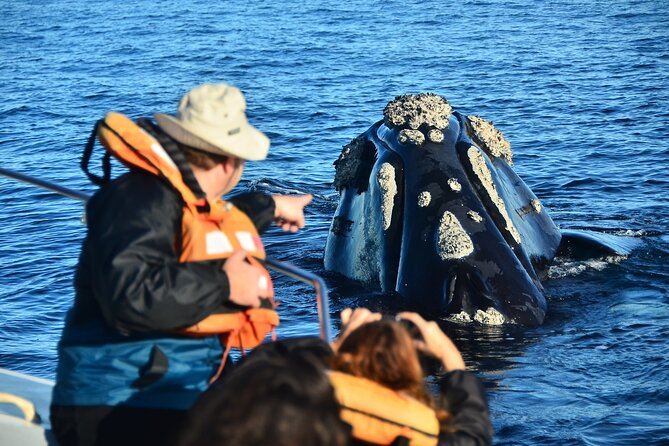 Peninsula Valdes Tour with Optional Whale Watching - Why Peninsula Valdes is worth a full day