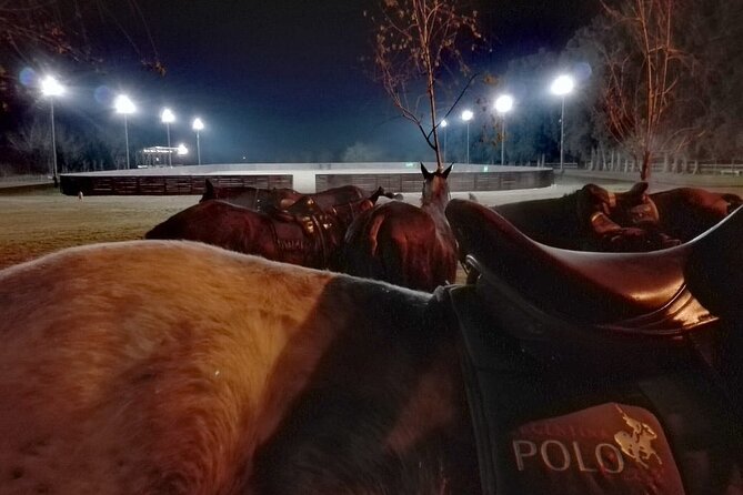 Polo Under the Stars and Argentine BBQ Evening Venue from Buenos Aires - Key points to know before you book