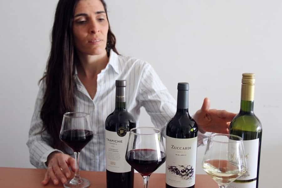 Premium Argentinian Wine and Malbec Tasting & Urban Art Tour - Palermo Soho before the first glass