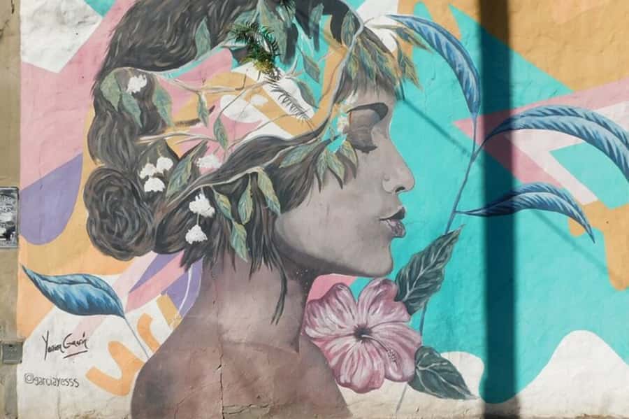 Premium Argentinian Wine and Malbec Tasting & Urban Art Tour - Argentine wine beyond Malbec