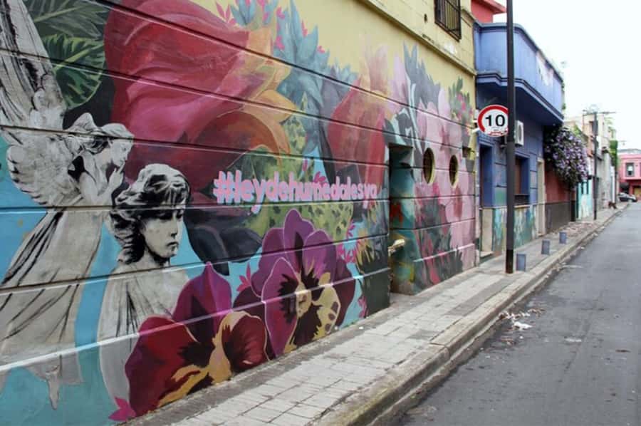 Premium Argentinian Wine and Malbec Tasting & Urban Art Tour - The value of $65