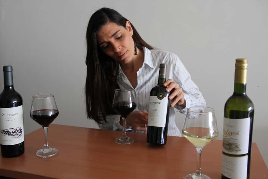 Premium Argentinian Wines and Malbec Tasting Experience - The Hosts Shape the Evening
