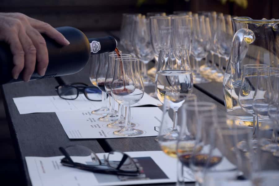Premium Argentinian Wines and Malbec Tasting Experience - Is $50 Per Person Fair?