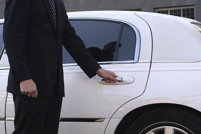 Private Arrival Transfer: Ezeiza Airport to Buenos Aires Hotels - Leaving Ezeiza without the airport scramble
