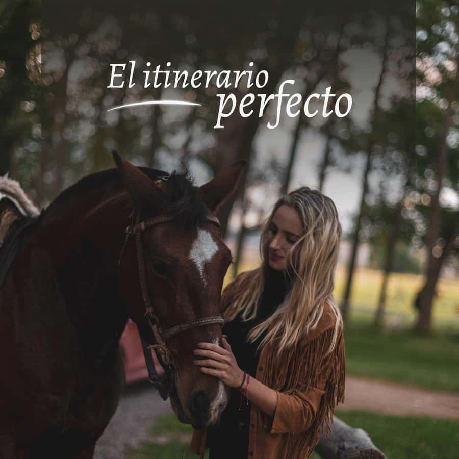 Private Experience: Horseback Riding and BBQ in the Mountain - Estancia La Carrera - Key points to know before booking