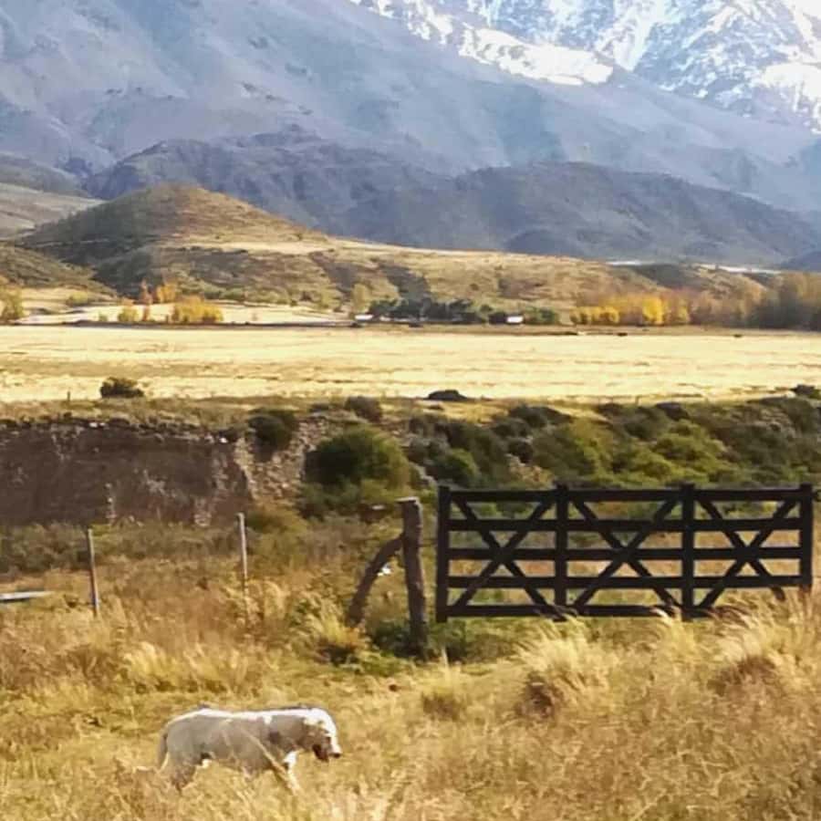 Private Experience: Horseback Riding and BBQ in the Mountain - Estancia La Carrera - Empanadas first, then a full asado criollo