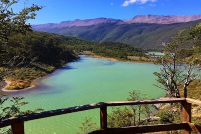 Private Experience “Tierra del Fuego” National Park