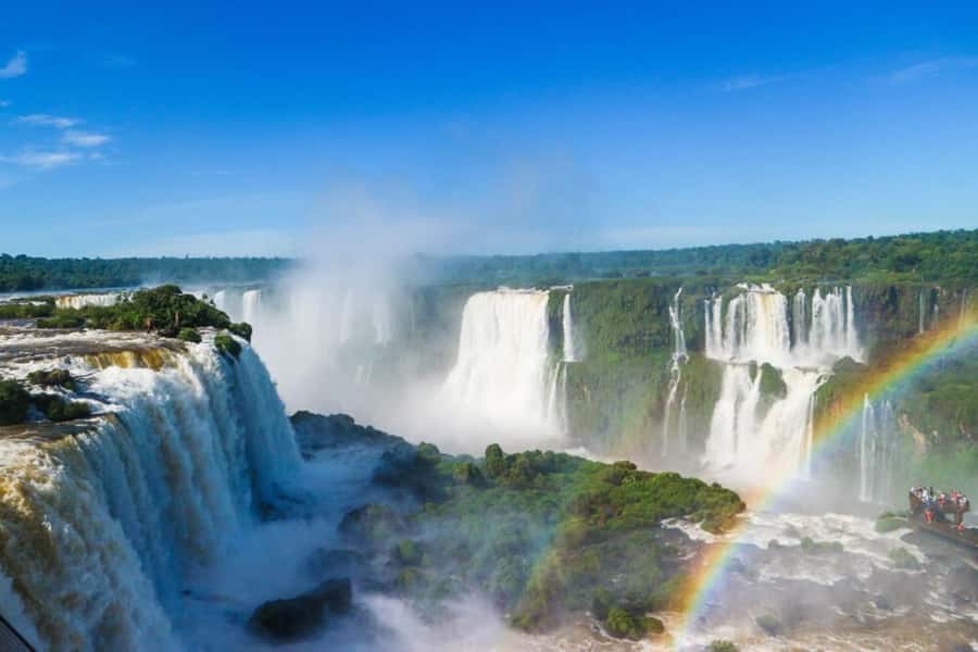Puerto Iguazú: Brazilian Falls Half-Day Panoramic Tour - The rainforest ride through Iguaçu National Park