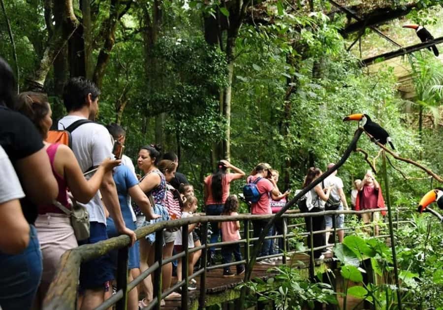 Puerto Iguazu: Iguaza Falls Brazilian Side & Bird Park Tour - Why the Brazilian side is worth your time