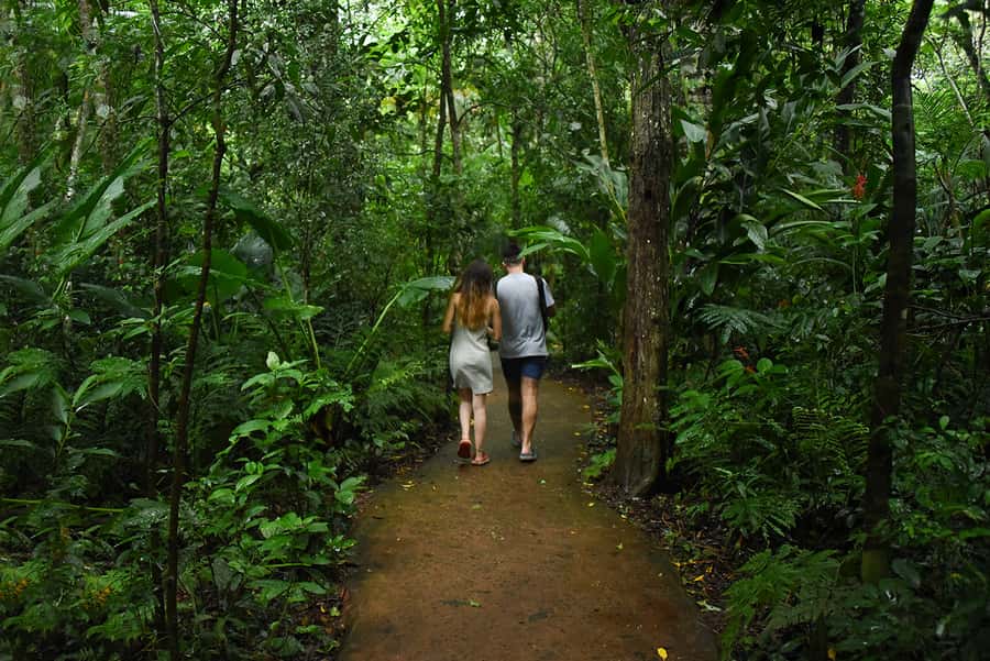 Puerto Iguazu: Iguaza Falls Brazilian Side & Bird Park Tour - Food, tickets, and the true price