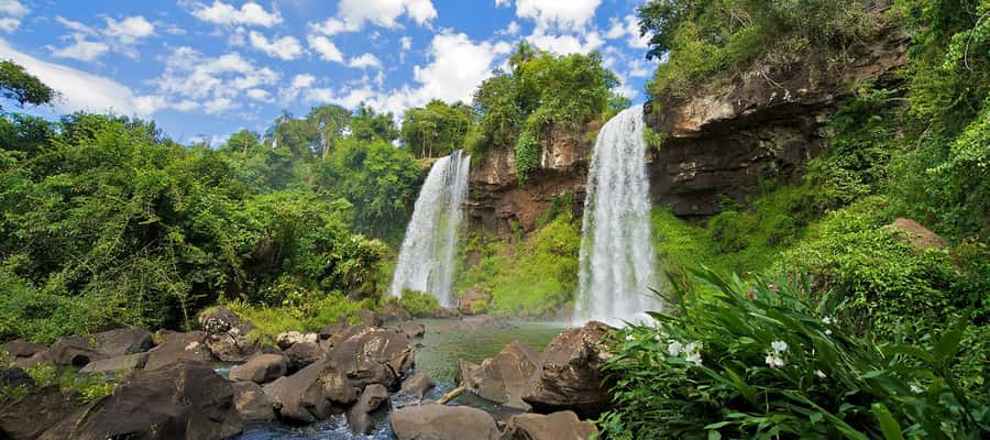 Puerto Iguazu: Iguazu Falls Argentinian Side Full-Day Tour - The Inferior Circuit, spray, and closer views