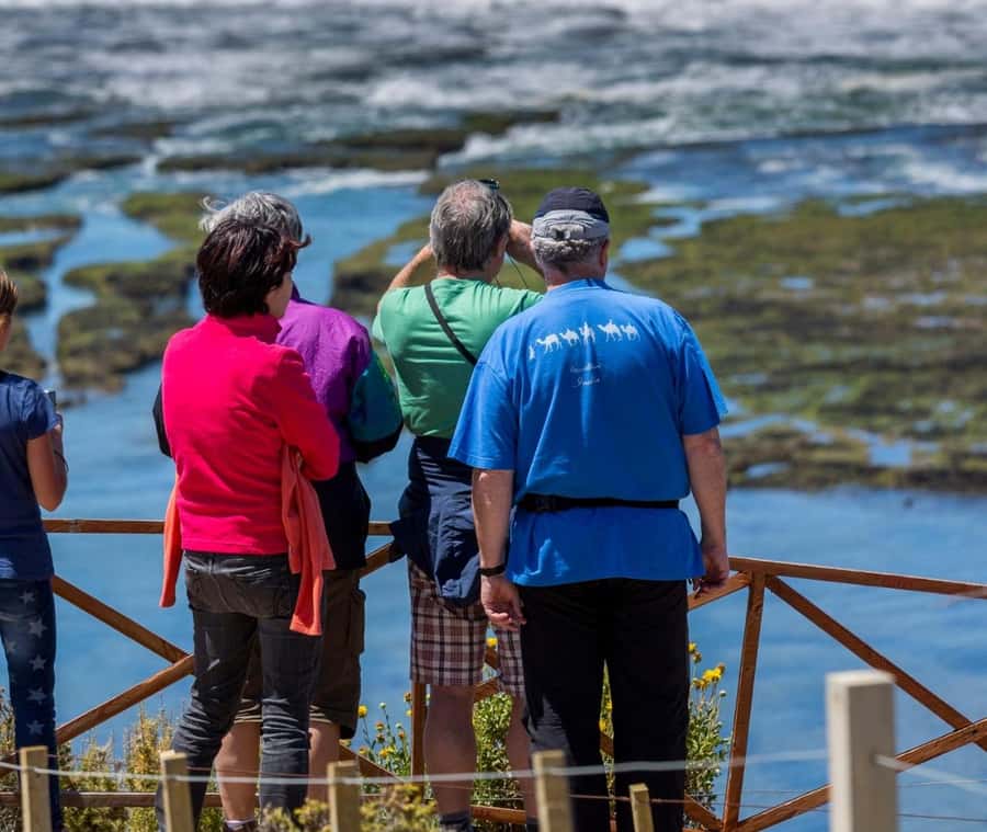 Puerto Madryn: Full Day Peninsula Valdes Experience Tour - Who should book this day