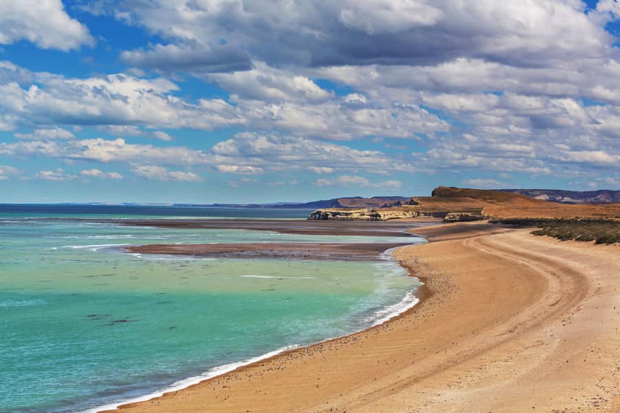 Puerto Madryn: Península Valdes with optional Whale Watching - Why Península Valdés makes a worthwhile day trip