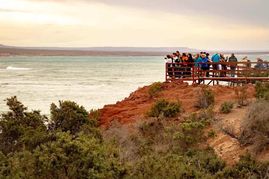 Puerto Madryn: Punta Tombo Walking Among Penguins Experience - Picking the optional stop carefully