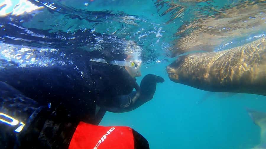 Puerto Madryn: Snorkeling Trip with Sea Lions - The boat ride to Punta Loma and Paraná Beach