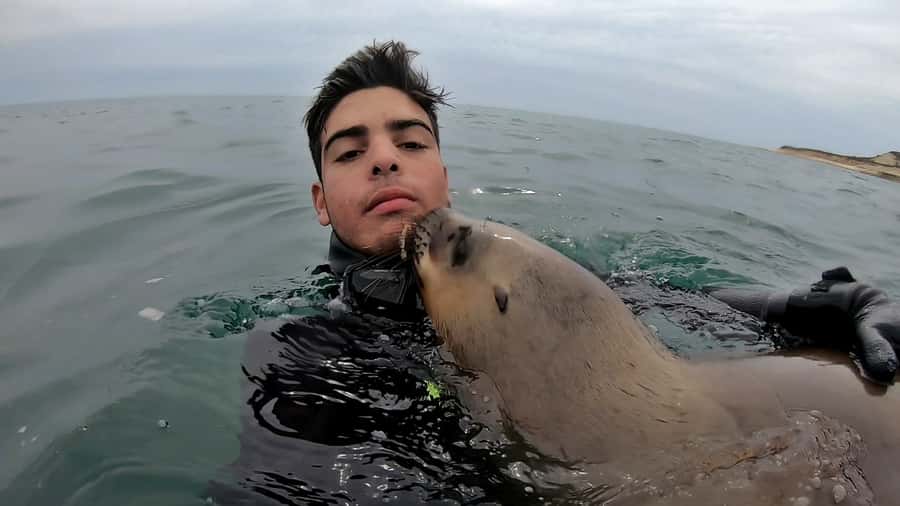 Puerto Madryn: Snorkeling Trip with Sea Lions - About 40 minutes snorkeling with the colony