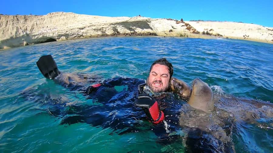 Puerto Madryn: Snorkeling Trip with Sea Lions - Returning for hot drinks and a change of clothes
