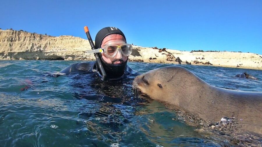 Puerto Madryn: Snorkeling Trip with Sea Lions - Is the $150 price fair?