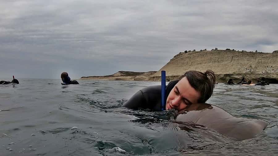 Puerto Madryn: Snorkeling Trip with Sea Lions - Who should book this experience?