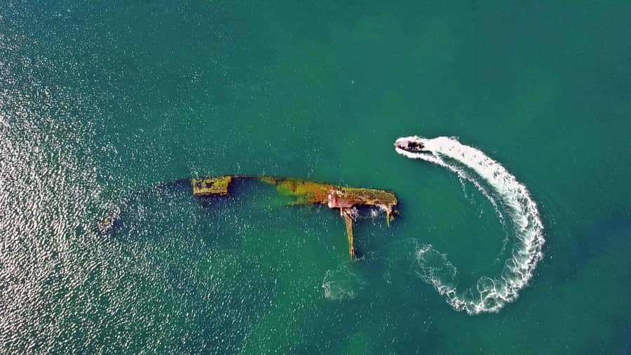 Puerto Madryn: Snorkeling Trip with Sea Lions - Starting at Madryn Buceo on Puerto Madryn’s waterfront
