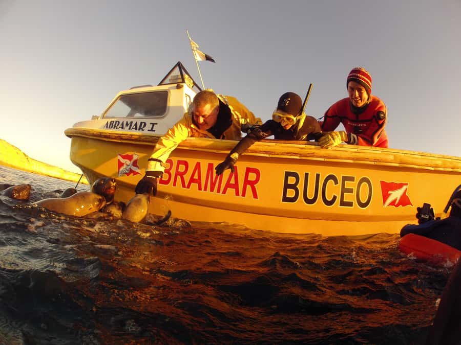 PUERTO MADRYN , SNORKELING WITH SEA LIONS - Wild animals mean an unpredictable encounter