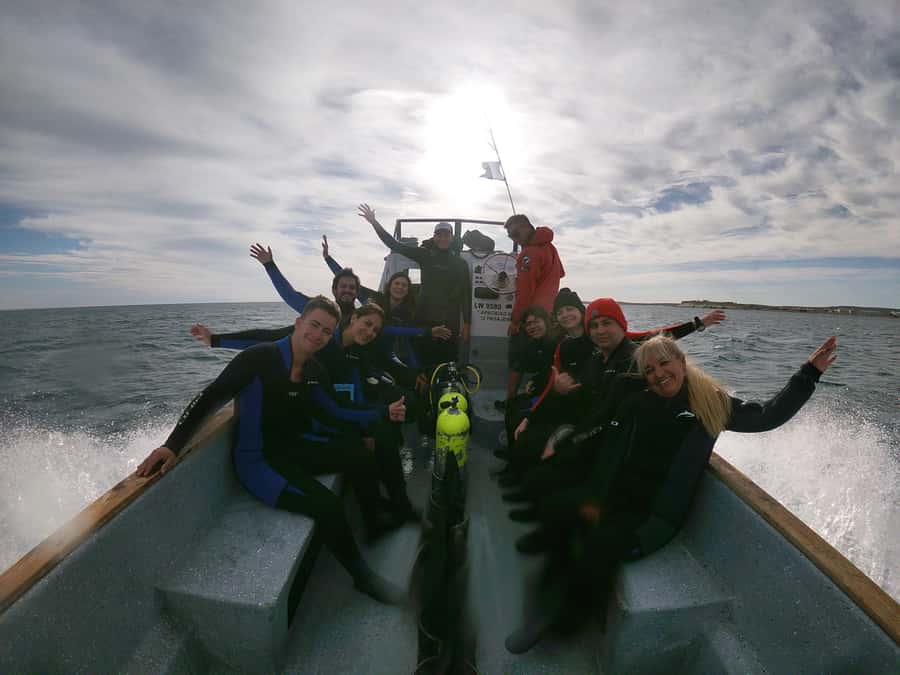 PUERTO MADRYN , SNORKELING WITH SEA LIONS - Who will enjoy this most