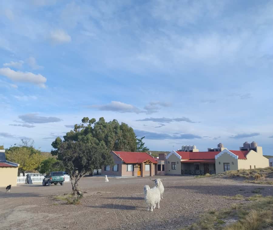 Punta Loma + Ranch Shore Excursion for cruise passengers - What $150 gets you