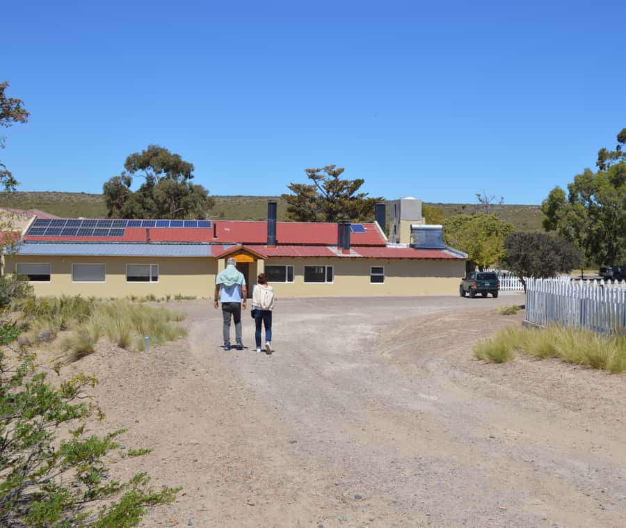 Punta Loma + Ranch Shore Excursion for cruise passengers - Why this four-hour shore trip works