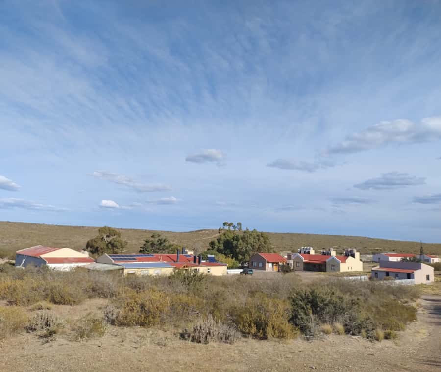 Punta Loma + Ranch Shore Excursion for cruise passengers - Mate, tortas fritas, and a warm ranch welcome