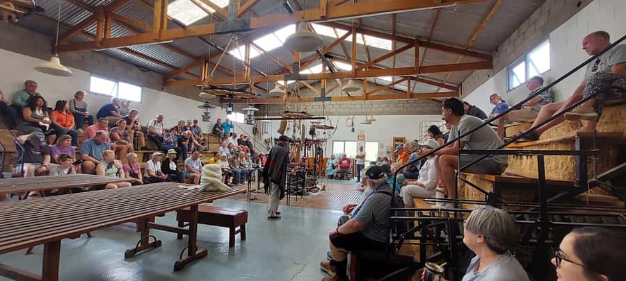 Punta Loma + Ranch Shore Excursion for cruise passengers - Sheep shearing in the Patagonian countryside
