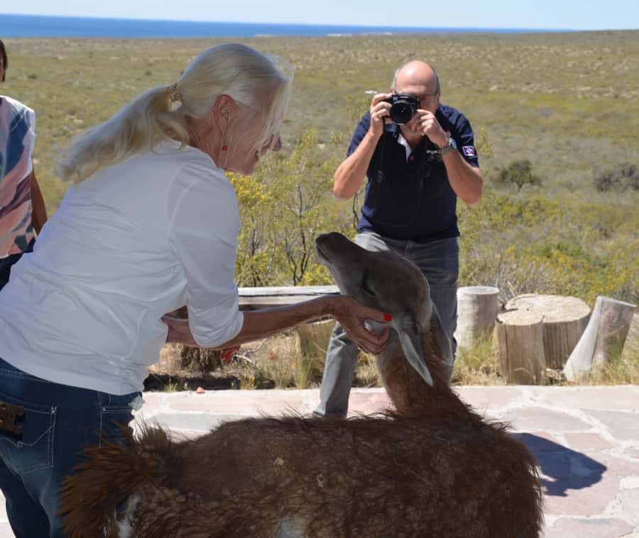 Punta Loma + Ranch Shore Excursion for cruise passengers - Meeting Ferdinand or your guide at Piedra Buena Pier