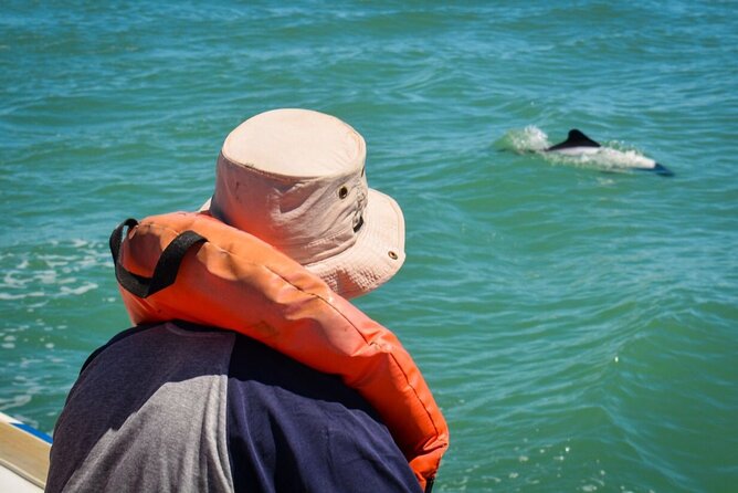 Punta Tombo Penguin Colony from Puerto Madryn with optional Toninas Watching - Gaiman, tea stops, and the value question