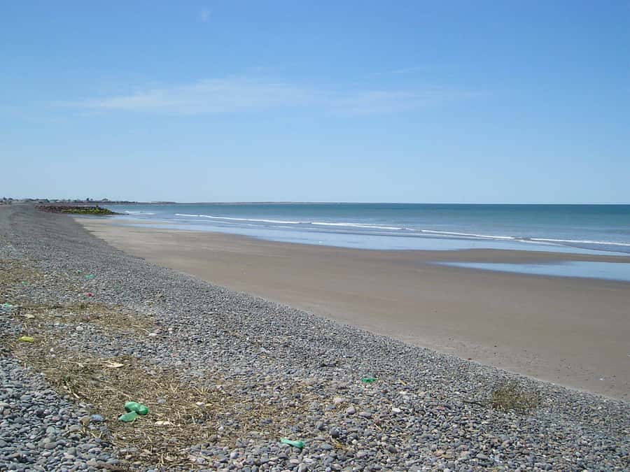 Punta Tombo Penguin Tour & Optional Tonina Watching - Gaiman offers a cultural alternative
