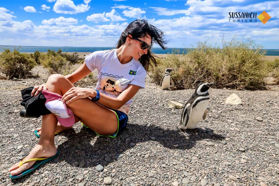 Punta Tombo Shore Excursion for Cruise Passengers + City - The long return and the possible Puerto Madryn city tour