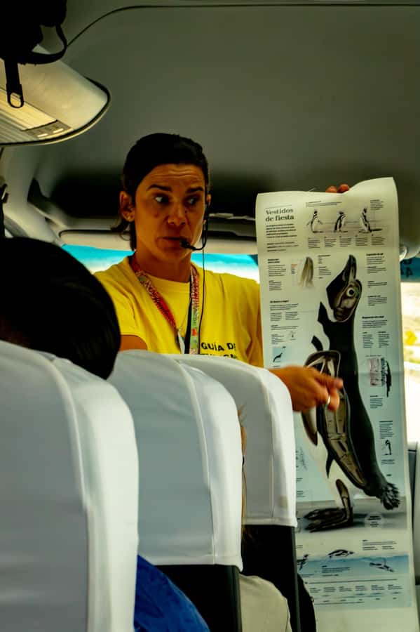 Punta Tombo Shore Excursion for Cruise Passengers + City - Does the $105 price offer good value?