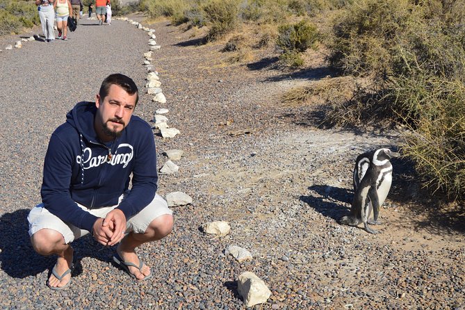 Punta Tombo Tour, the Penguin Experience - Wildlife beyond the penguin colony