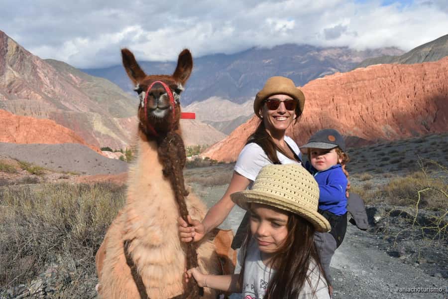 Purmamarca: Hiking with Llamas through multicolored mountains - Meeting the llamas beside Paseo de los Colorados
