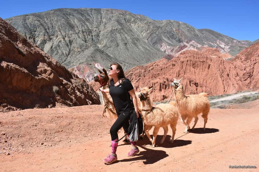 Purmamarca: Hiking with Llamas through multicolored mountains - How the small group affects the experience