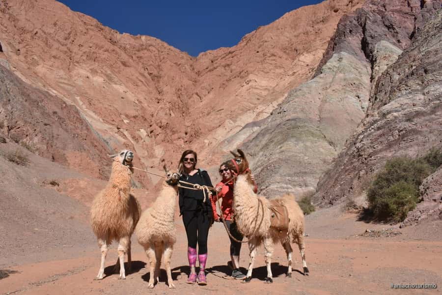 Purmamarca: Hiking with Llamas through multicolored mountains - Practical preparation for the sun and the animals