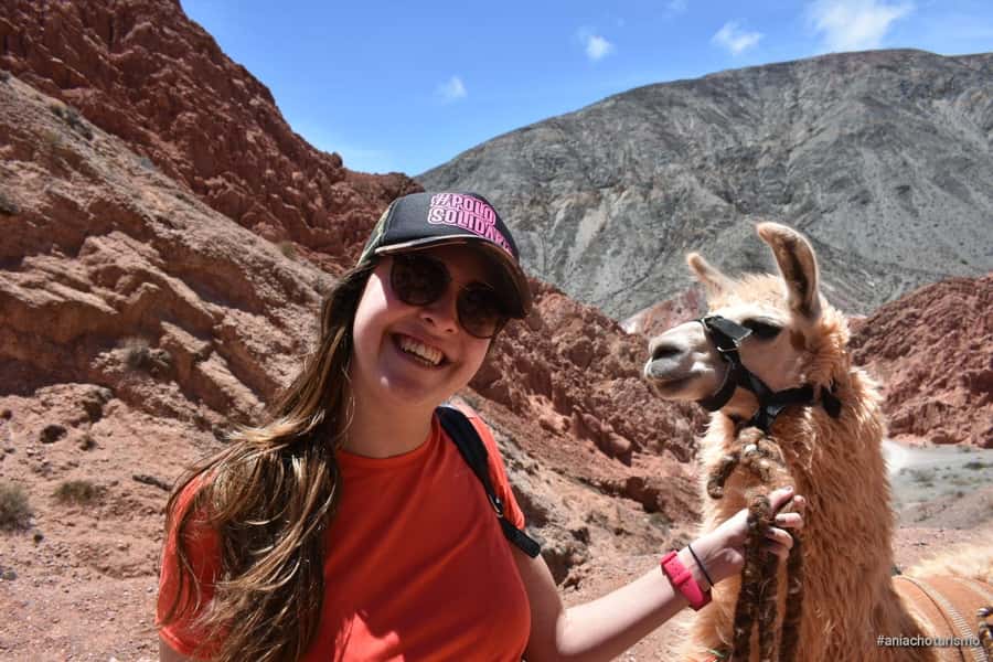 Purmamarca: Hiking with Llamas through multicolored mountains - Walking at a calm pace through the colored hills
